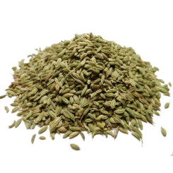 Graines de Fenouil bio à semer - 40 g - Fleurs et plantes - Creavea