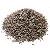 Infusion de Carvi Bio - Graine-Tisane Carvi Bio - Graines