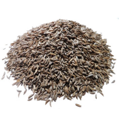 Infusion de Carvi Bio - Graine