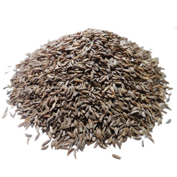 Infusion de Carvi Bio - Graine