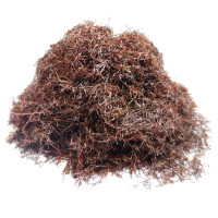 Maïs - Tisane Zea maïs - Barbe Bio - Plantes médicinales en vrac - Tisanes de plantes simples - 1-Maïs - Tisane Zea maïs - Barbe Bio