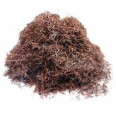 Infusion de Maïs Barbe Bio-Tisane Maïs Bio - Barbe