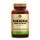 Curcuma Extrait (Turmeric Root Extract) 60 gélules végétales - Solgar