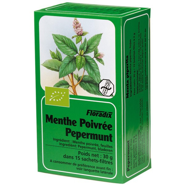 Tisane biologique à la menthe verte - Traditional Medicinals