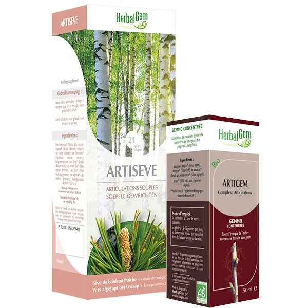 Pack Articulations Bio Herbalgem - Artisève 250 ml + Artigem 50 ml - 1 - Herboristerie du Valmont Pack Articulations Bio Herbalgem - Artisève 250 ml + Artigem 50 ml - 1 - Herboristerie du Valmont