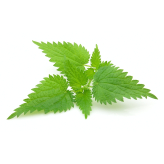  - Plantes médicinales en vrac - Tisanes de plantes simples - 2