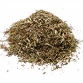 Infusion de Verveine officinale Bio - PC