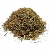 Infusion de Véronique officinale Bio - PC