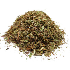 Infusion de Véronique officinale Bio - PC