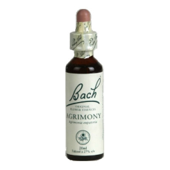 38er-Pack Bachblüten mit Lederetui - Bachblüten und Blütenessenzen - 30