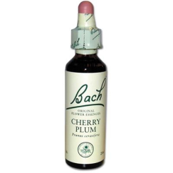 38er-Pack Bachblüten mit Lederetui - Bachblüten und Blütenessenzen - 34