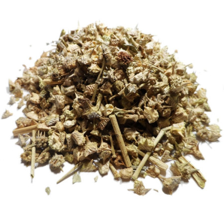 Tribulus terrestris Tisane (Tribule) - Fruit entier - Plantes médicinales en vrac - Tisanes de plantes simples - 1