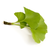 Ginkgo Biloba Kräutertee - Bio geschnittene Blätter - lose Heilpflanzen - einzelne Kräutertees - 2