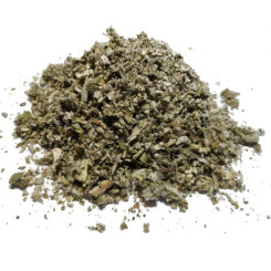 Infusion de Bouillon Blanc Molène Bio - SF