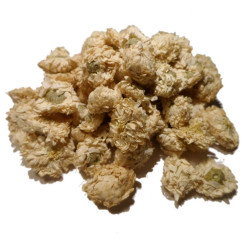 Infusion de Camomille romaine Bio - Fleur