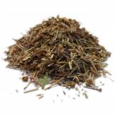 Infusion de Chrysanthellum americanum - PC-Tisane Chrysanthellum americanum - Partie aérienne coupée