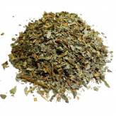 Infusion de Lierre terrestre Bio - PC-Tisane Lierre terrestre Bio - PC
