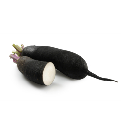  - Plantes médicinales en vrac - Tisanes de plantes simples - 2