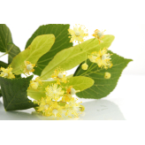  - Plantes médicinales en vrac - Tisanes de plantes simples - 2