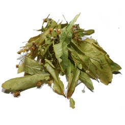 Tilleul - Tilia sylvestris - Bractée entière Bio - Plantes médicinales en vrac - Tisanes de plantes simples - 1