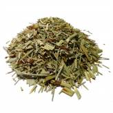 Infusion de Prêle - PC-Tisane Prêle des champs Equisetum - Plante coupée