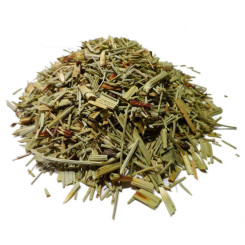 Infusion de Prêle - PC