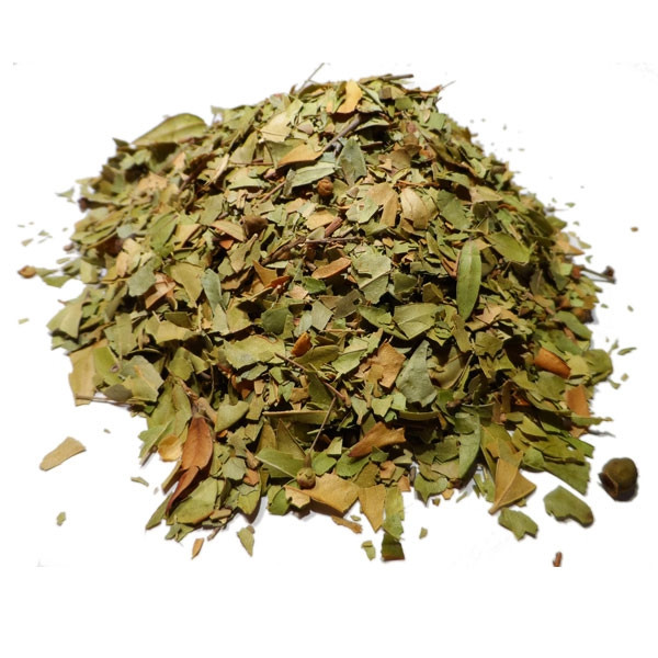 Infusion de Myrte commun - FC