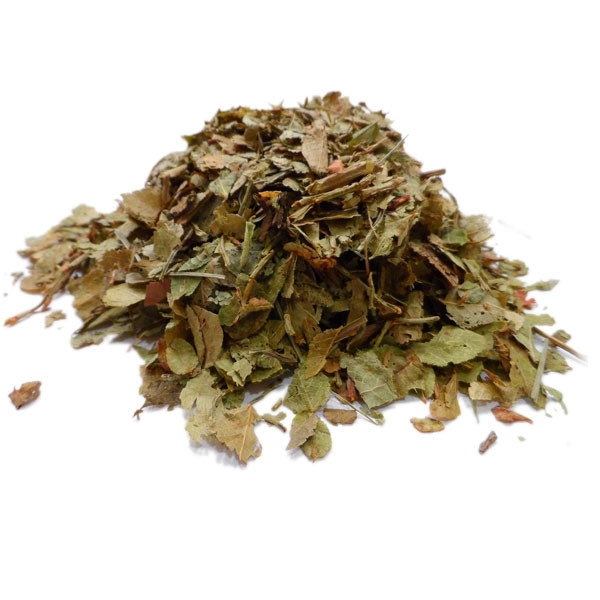 Tisane Myrtille Bio Airelle - Vaccinium myrtillus - Feuille cpée Vrac