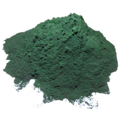 Spirulina - Spirulina plantensis - Bio-Pulver - Heilpflanzenpulver in Großpackungen - 1
