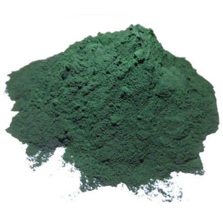 Spiruline - Spirulina plantensis - Poudre Bio - Poudres de plantes médicinales en vrac - 1