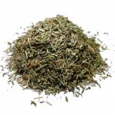 Infusion de Renouée des Oiseaux Bio - PC-Tisane Renouée des Oiseaux Bio - Plante