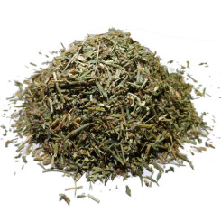 Infusion de Renouée des Oiseaux Bio - PC