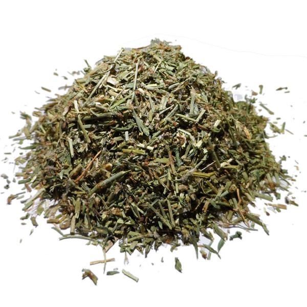 Infusion de Renouée des Oiseaux Bio - PC