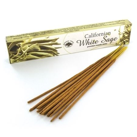 Weißer Salbei (Salvia apiana) – 15 g Räucherstäbchen – Green Tree – Traditionelles Räucherwerk, Harze & Ausräuchern – 1