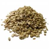 Angélique - Tisane Angelica archangelica - Graines  Bio - Plantes médicinales en vrac - Tisanes de plantes simples - 1-Angélique - Tisane Angelica archangelica - Graines  Bio