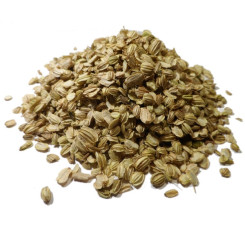 Infusion d'Angélique Bio - Graine