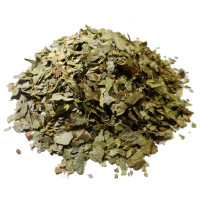 Infusion de Boldo Bio - FC-Tisane Boldo Bio - Feuille coupée