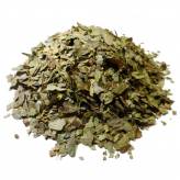 Infusion de Boldo Bio - FC-Tisane Boldo Bio - Feuille coupée