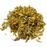 Infusion de Primevère Officinale Bio - Fleur-Tisane Primevère Officinale - Fleurs Bio