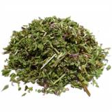 Infusion de Ballote Noire Bio - SF-Tisane Ballote Noire Bio - Sommité fleurie coupée