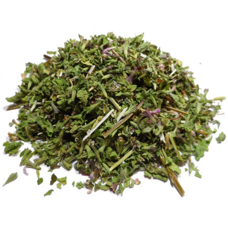 Infusion de Ballote Noire Bio - SF