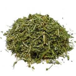 Infusion de Lotier corniculé Bio - PC