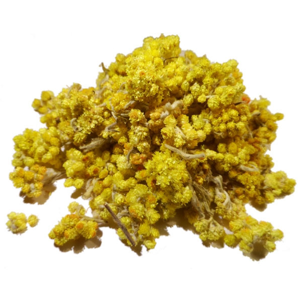 Infusion d'Immortelle - Fleur