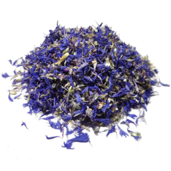 Kornblumenaufguss - Blütenblätter