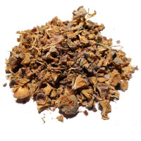 Infusion de Cyprès Bio - NC-Tisane Cyprès Bio - Noix coupée