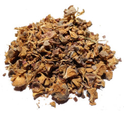 Infusion de Cyprès Bio - NC