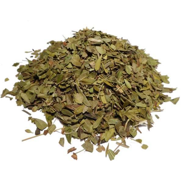 Busserole - Arctostaphylos uva-ursi - Feuille coupée  Bio - Plantes médicinales en vrac - Tisanes de plantes simples - 1