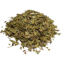 Infusion de Busserole Bio - FC