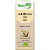 Allargem 50 ml Bio - Herbalgem - GC01 - Gemmothérapie - 2