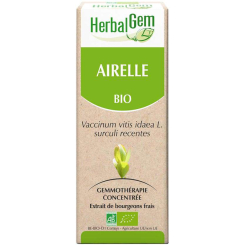 Airelle bourgeon Bio - Vaccinium vitis-idaea Macérat - 50 ml Bio - Herbalgem - Gemmothérapie - 2